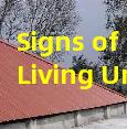 Signs of Pests Living Under Your Roofing Tiles